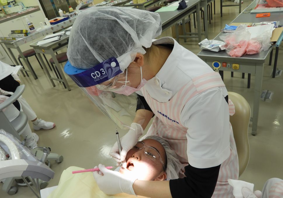 歯科予防処置